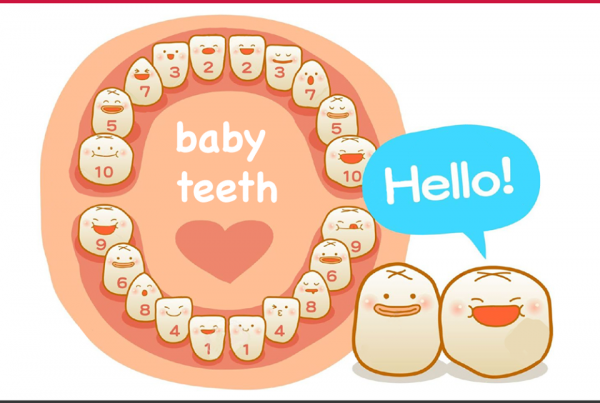 Did you know this is the order your teeth come in? You're building a #smile day by day! (well... month by month!)